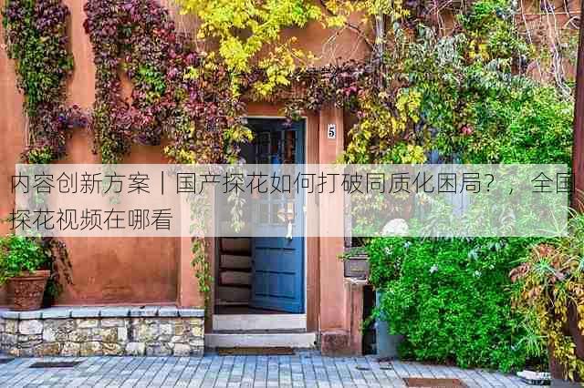 内容创新方案|国产探花如何打破同质化困局?,全国探花视频在哪看