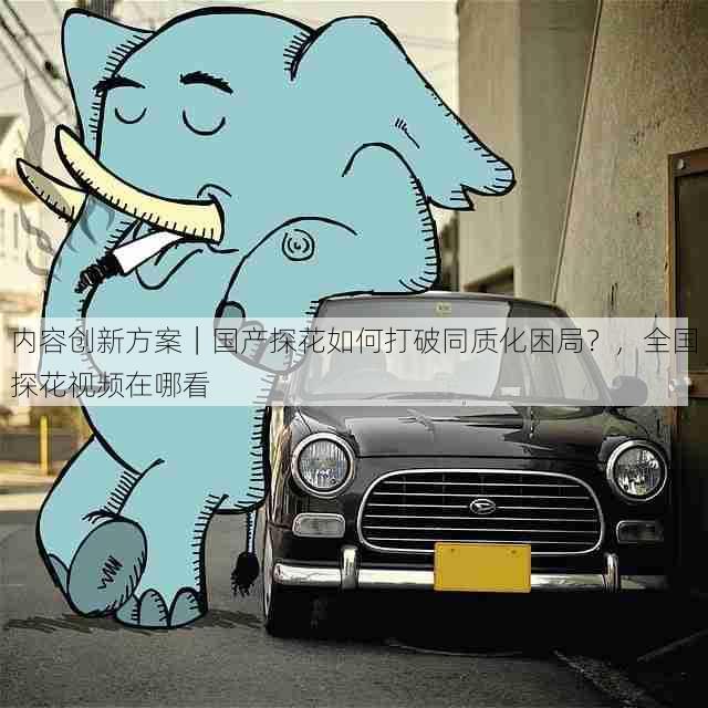 内容创新方案|国产探花如何打破同质化困局?,全国探花视频在哪看