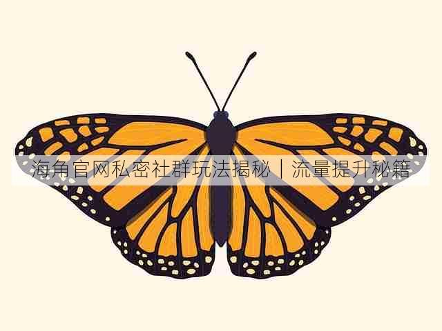 海角官网私密社群玩法揭秘|流量提升秘籍