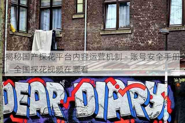 揭秘国产探花平台内容运营机制 - 账号安全手册，全国探花视频在哪看