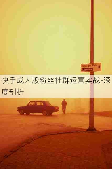 快手成人版粉丝社群运营实战-深度剖析