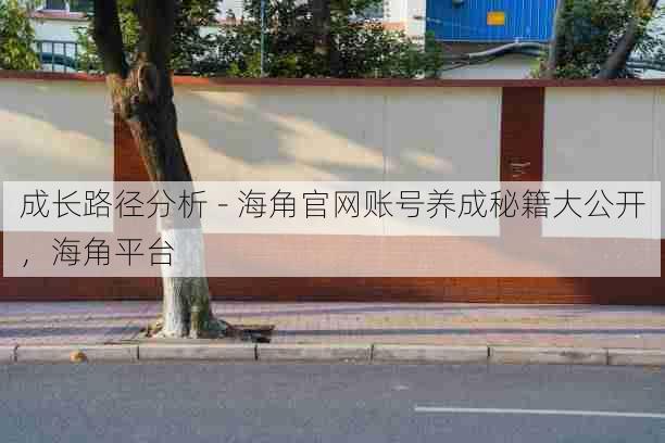 成长路径分析 - 海角官网账号养成秘籍大公开,海角平台