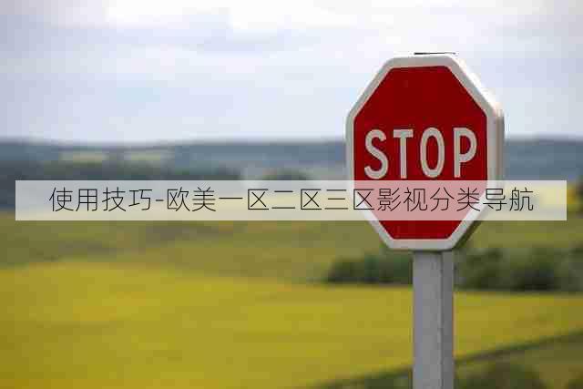 使用技巧-欧美一区二区三区影视分类导航