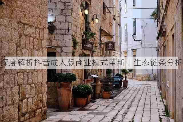 深度解析抖音成人版商业模式革新|生态链条分析