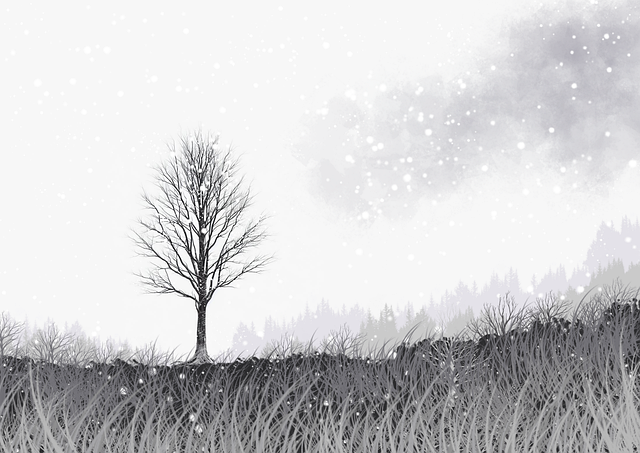 微密圈广告投放最佳实践分享及快速入门