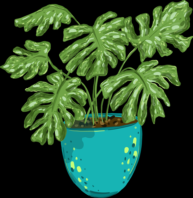 国产探花爆款作品打造秘籍|市场洞察