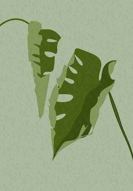 aaa永久在线观看必看影单推荐｜观看体验提升，aaa!