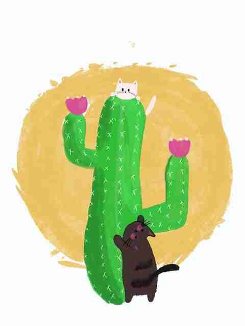 流量增长秘籍 - 抖音成人版热门账号涨粉全流程解析,成人抖音就是这么让人上瘾