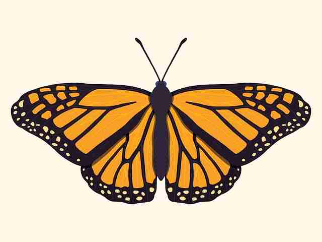 微密圈引流方法大揭秘:运营指南